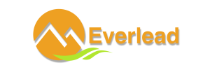 Everlead-Logo